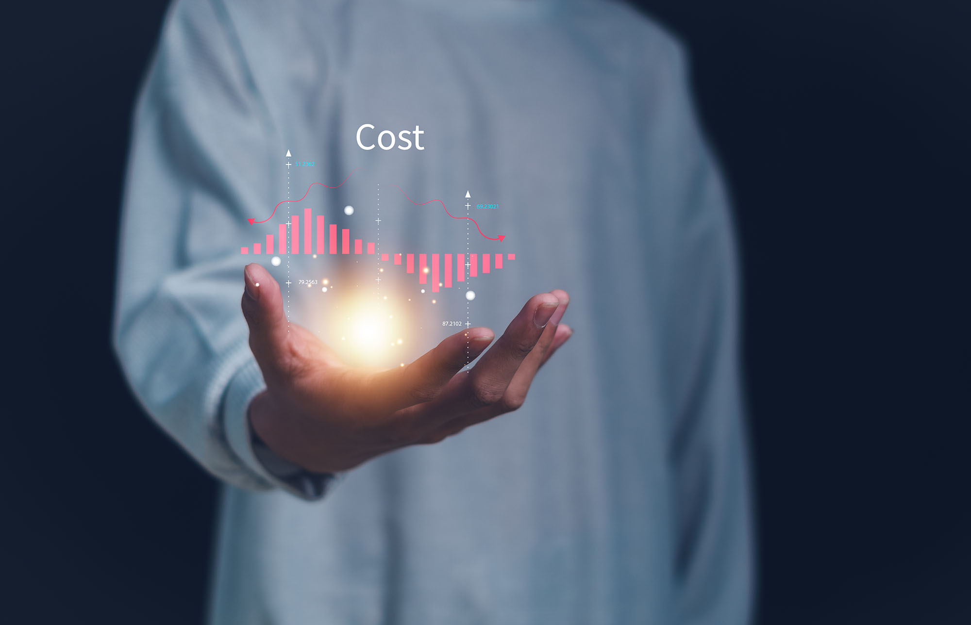 Business Model & Cost Optimisation