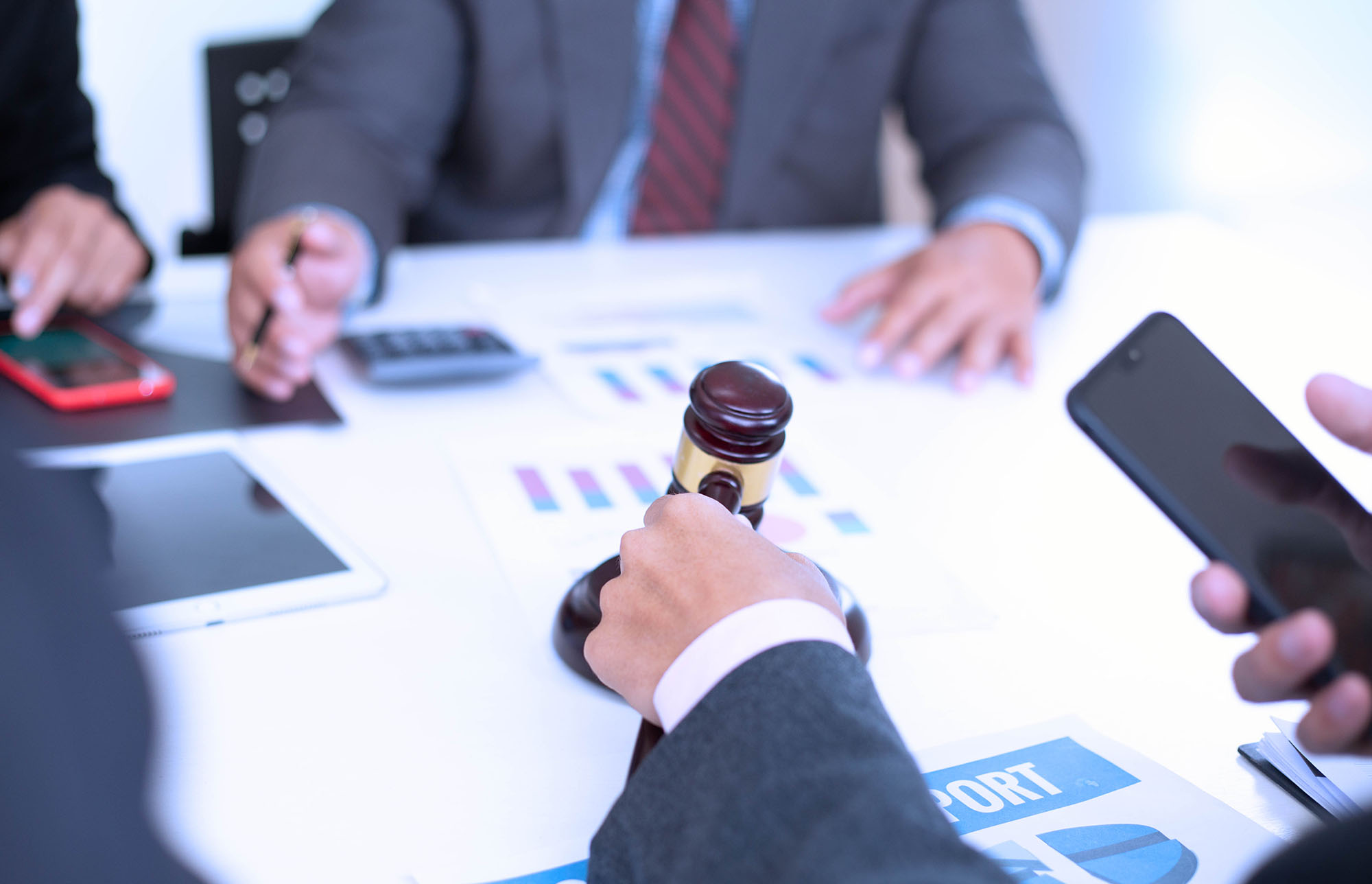 Government Advisory Services